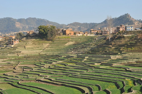 WSF004_201302_HH_Nepal_15