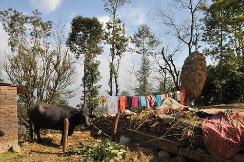 WSF004_201302_HH_Nepal_19