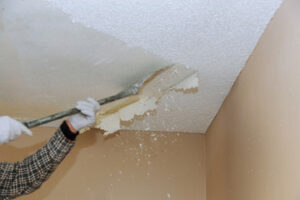 Ceiling Repair